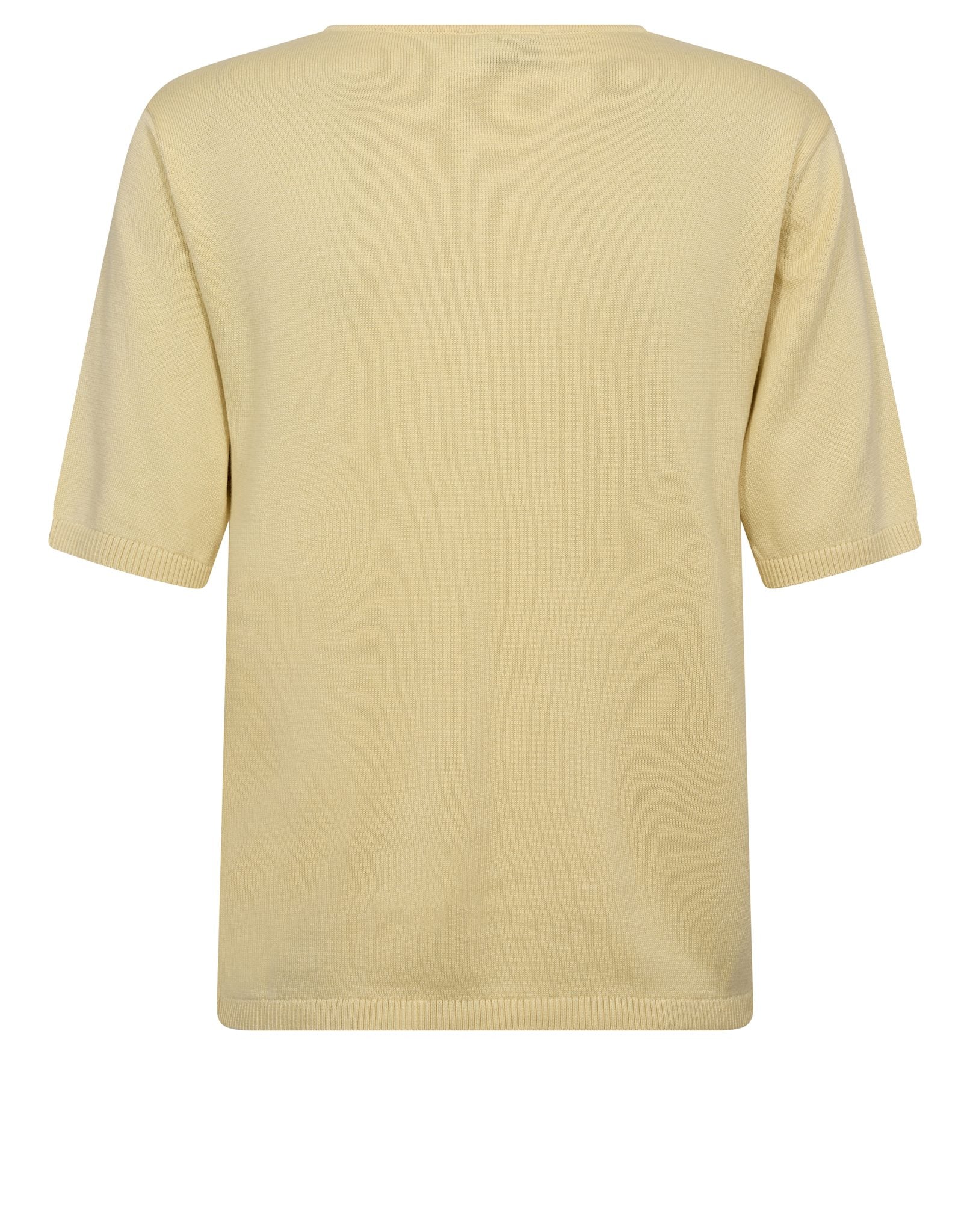 BS Francesca Regular Fit T-shirt - Dusty Yellow