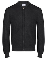 BS Dimitrov Regular Fit Sticka - Charcoal