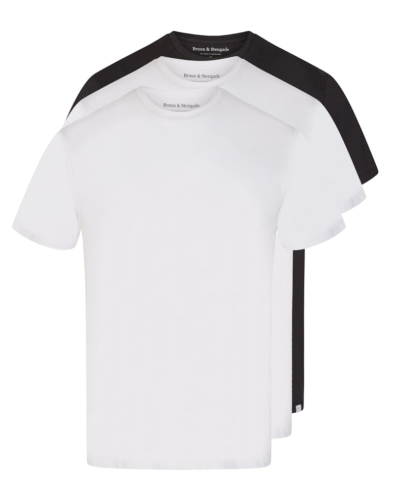 BS Antiqua Regular Fit T-Shirt - White, White & Black