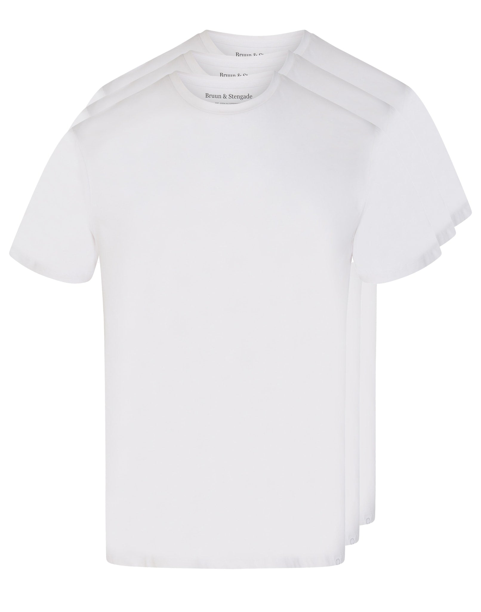 BS Antiqua Regular Fit T-shirt - Vit