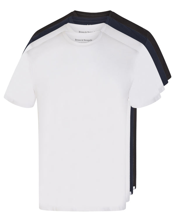 BS Antiqua Regular Fit T-Shirt - White, White, Black & Navy